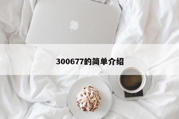 300677的简单介绍