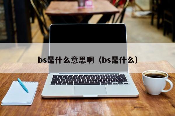 bs是什么意思啊（bs是什么）