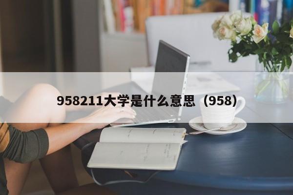 958211大学是什么意思（958）