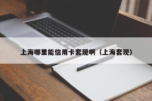 上海哪里能信用卡套现啊（上海套现）