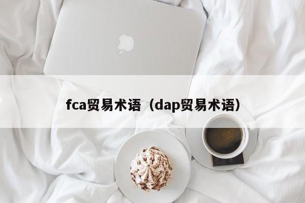 fca贸易术语（dap贸易术语）