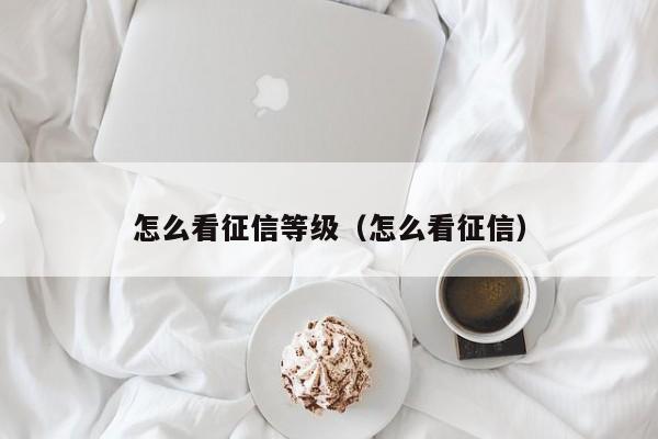 怎么看征信等级（怎么看征信）