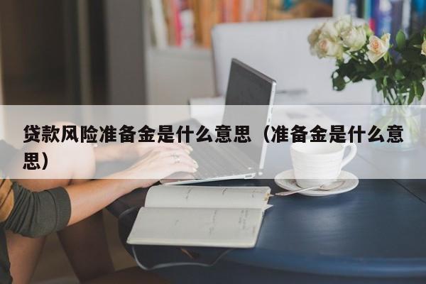 贷款风险准备金是什么意思（准备金是什么意思）