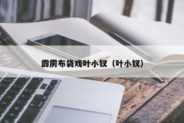 霹雳布袋戏叶小钗（叶小钗）