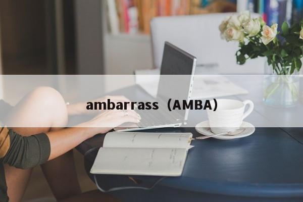 ambarrass（AMBA）