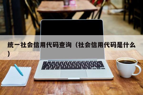 统一社会信用代码查询（社会信用代码是什么）