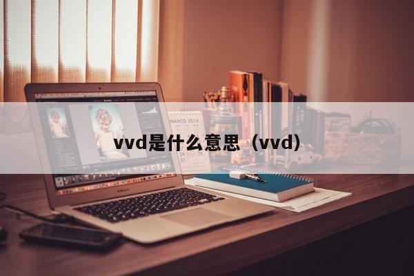 vvd是什么意思（vvd）