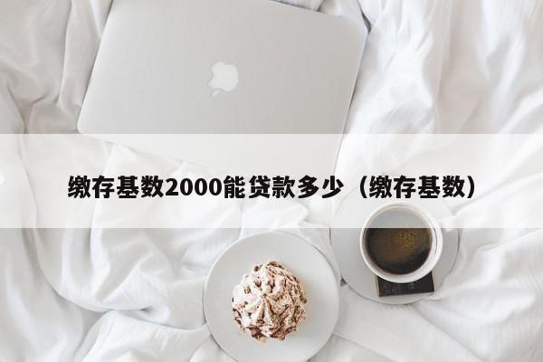 缴存基数2000能贷款多少（缴存基数）