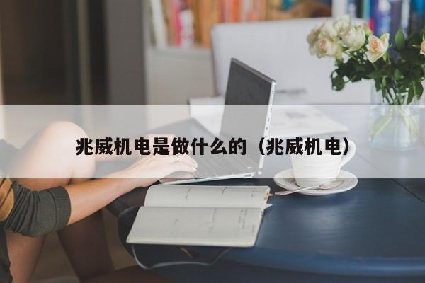 兆威机电是做什么的（兆威机电）