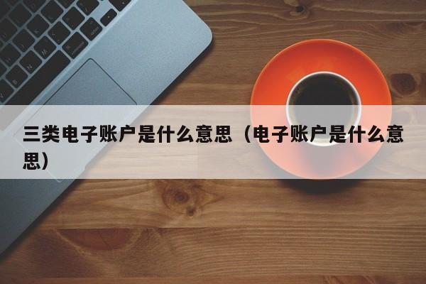 三类电子账户是什么意思（电子账户是什么意思）