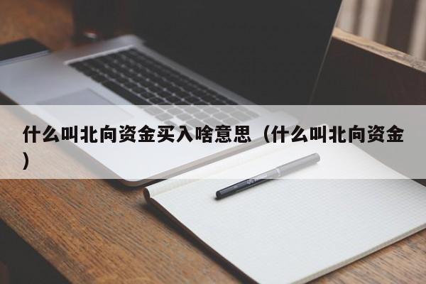 什么叫北向资金买入啥意思（什么叫北向资金）