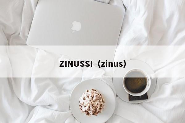 ZINUSSI（zinus）