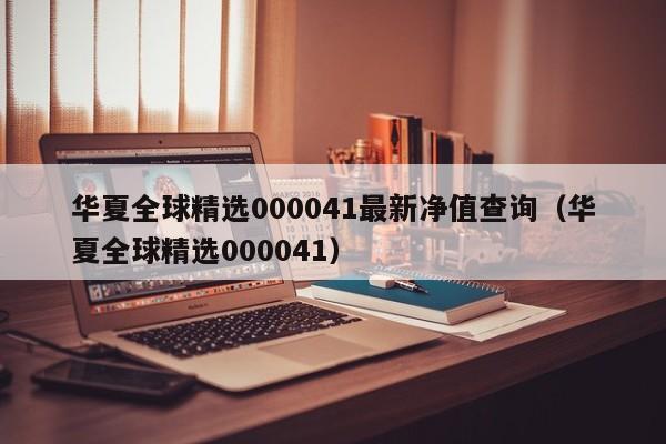 华夏全球精选000041最新净值查询（华夏全球精选000041）