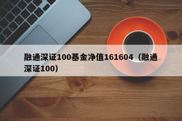 融通深证100基金净值161604（融通深证100）