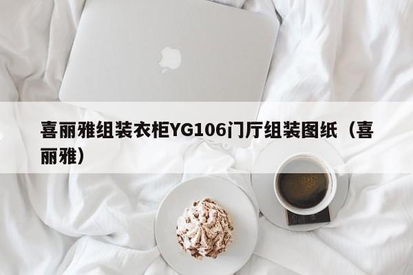 喜丽雅组装衣柜YG106门厅组装图纸（喜丽雅）