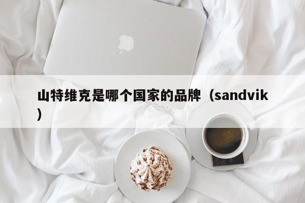 山特维克是哪个国家的品牌（sandvik）