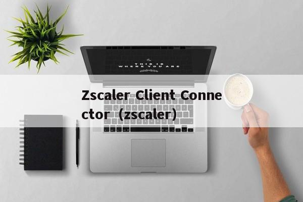 Zscaler Client Connector（zscaler）