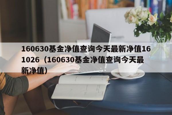 160630基金净值查询今天最新净值161026（160630基金净值查询今天最新净值）