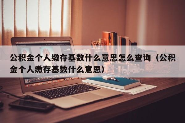 公积金个人缴存基数什么意思怎么查询（公积金个人缴存基数什么意思）