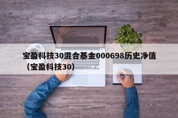 宝盈科技30混合基金000698历史净值（宝盈科技30）