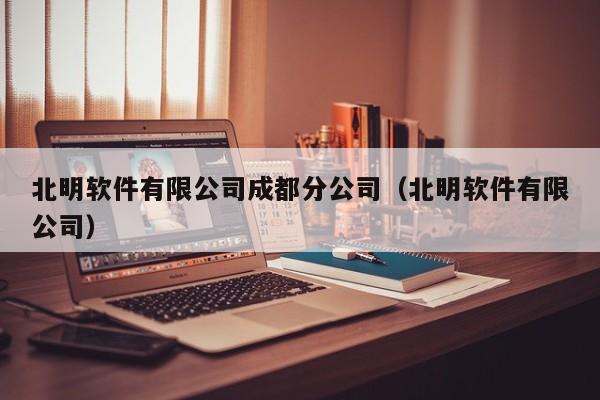 北明软件有限公司成都分公司（北明软件有限公司）