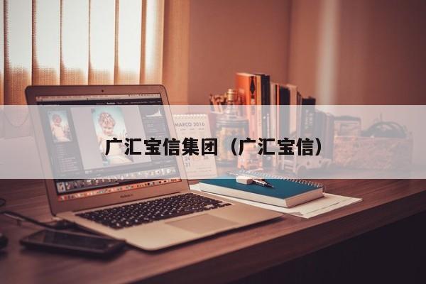 广汇宝信集团（广汇宝信）