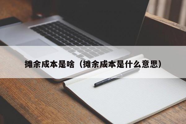 摊余成本是啥（摊余成本是什么意思）