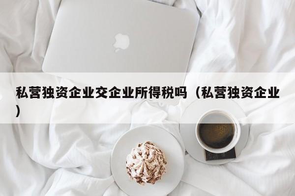 私营独资企业交企业所得税吗（私营独资企业）