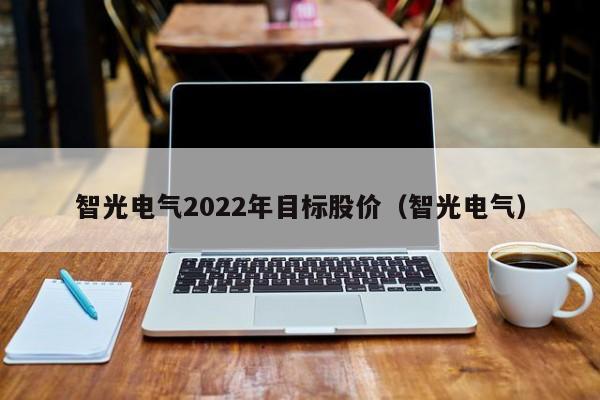 智光电气2022年目标股价（智光电气）