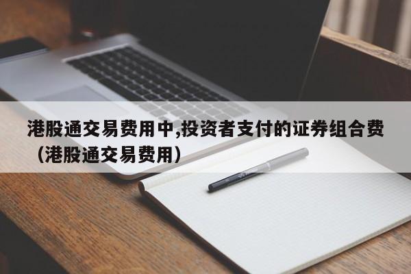 港股通交易费用中,投资者支付的证券组合费（港股通交易费用）