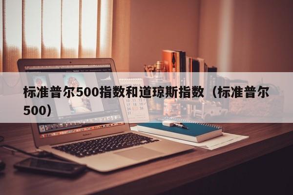 标准普尔500指数和道琼斯指数（标准普尔500）