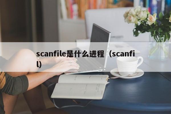 scanfile是什么进程（scanfil）