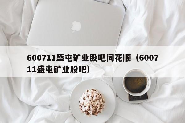 600711盛屯矿业股吧同花顺（600711盛屯矿业股吧）