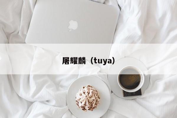 屠耀麟（tuya）